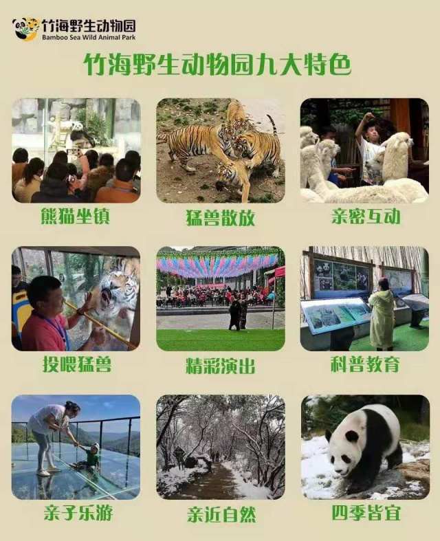 爱游宝|图文编辑更简单